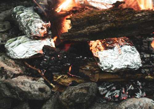 Foil Dinner