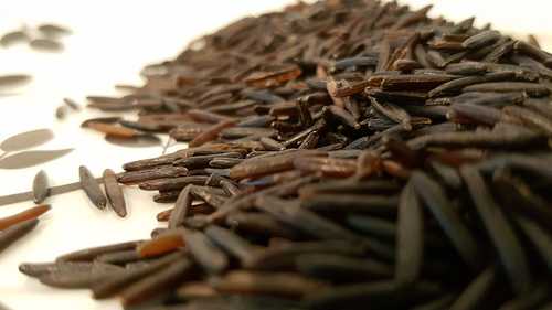Wild Rice