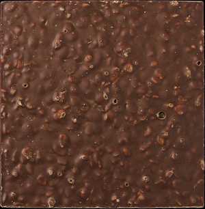 Tammy’s Rice Krispies Caramel Bars Recipe
