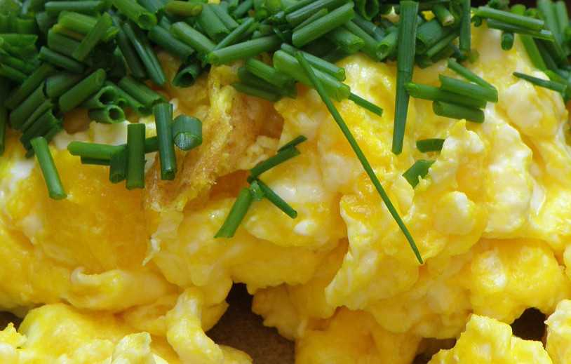 Scrambled Eggs