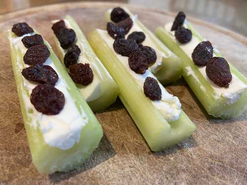 Ants on a Log