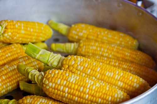 Boiled Corn on the Cob