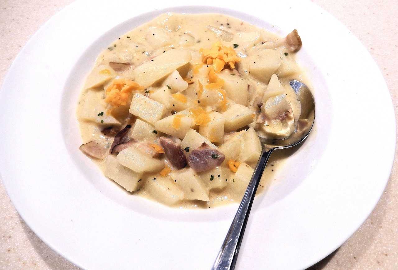 Golden Cream Soup