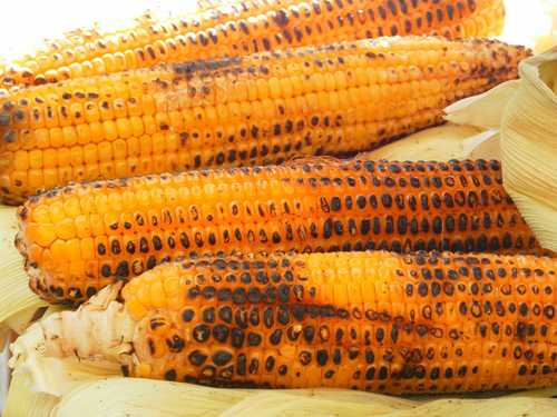 Corn Roast