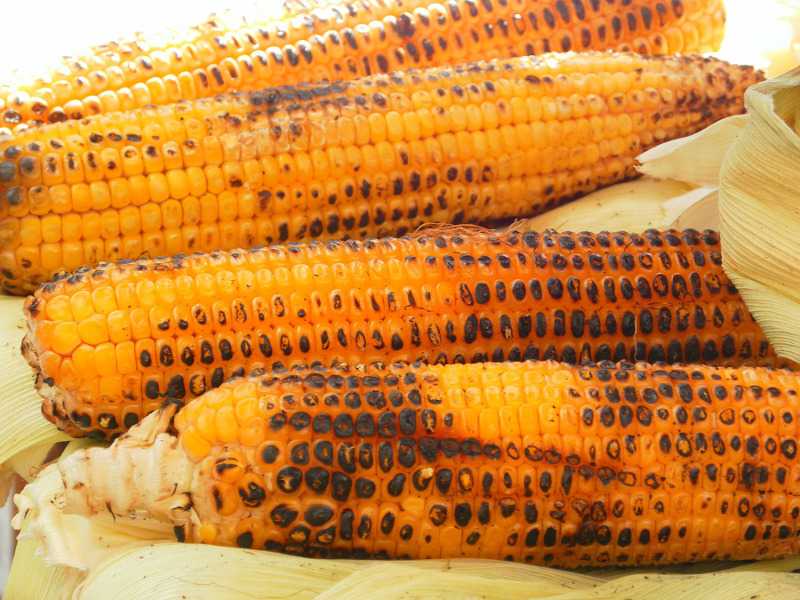 Roasted corn on the cob